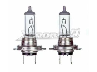 PX26d H7 55W Halogen Headlight Bulbs