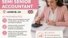 Semi Senior Accountant Requried in London