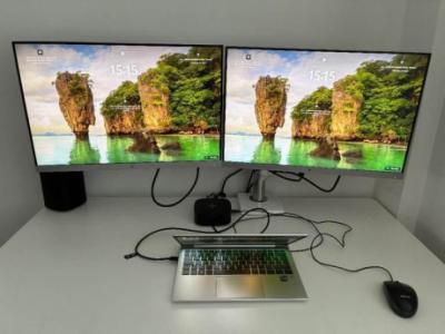 2x HP EliteDisplay E243i Monitors