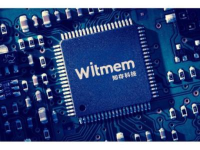 Witmem's WTM2101 chip