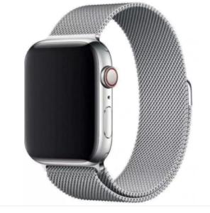 Apple Watch Silver Stainless Steel Band
