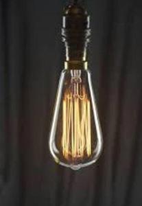 Order Squirrel Cage ST64 From Saving Light Bulbs